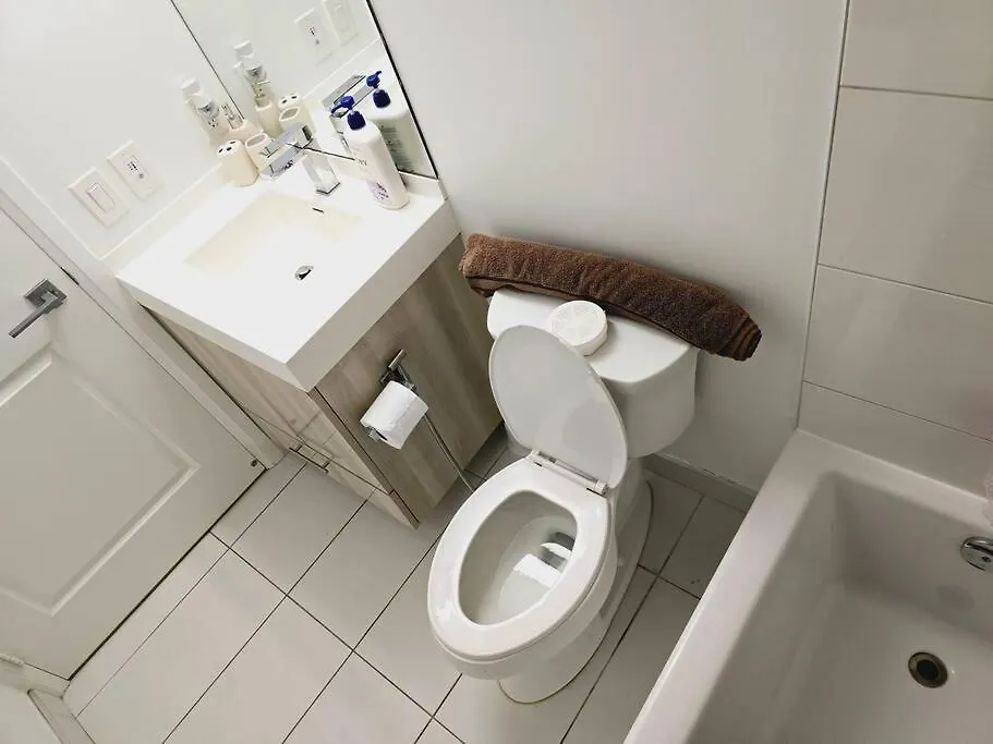 Stylish Luxe Apartment 1 Bedrom With Sofa Bed Торонто 0*,