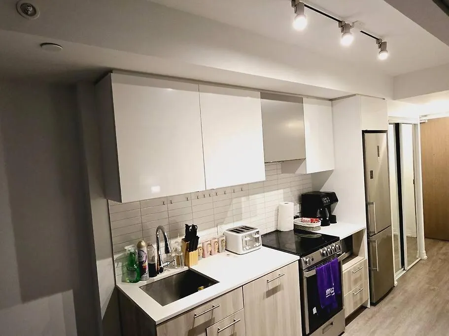 Stylish Luxe Apartment 1 Bedrom With Sofa Bed Торонто Канада