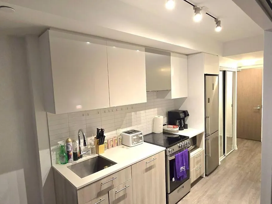 Stylish Luxe Apartment 1 Bedrom With Sofa Bed Торонто 0*,  Канада